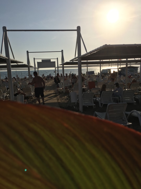 Strand Side Alegria Hotel & Spa - Adults only +16