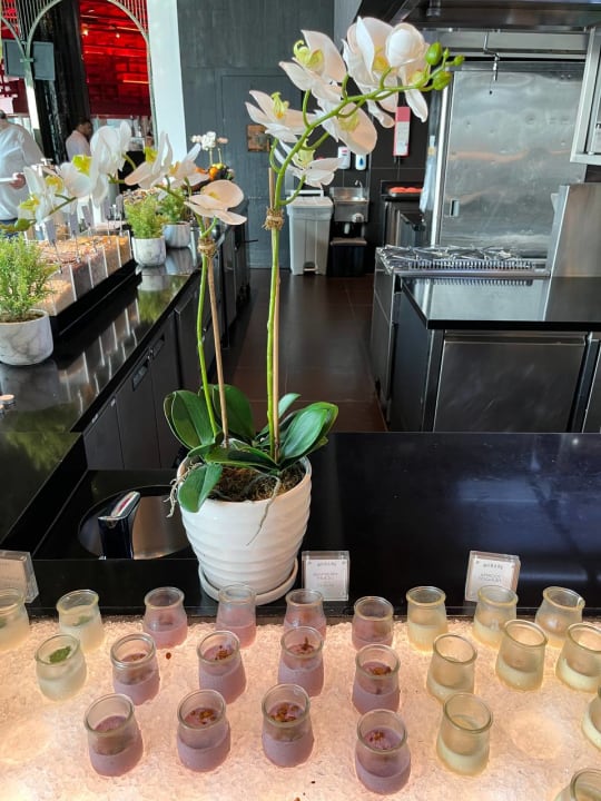 Gastro W Abu Dhabi - Yas Island