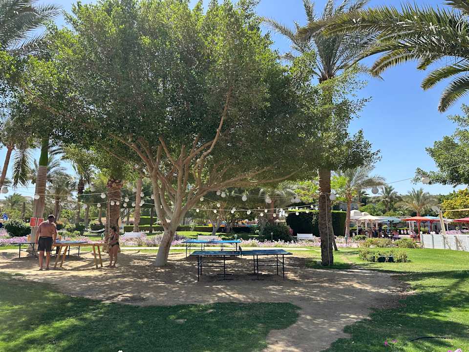 Gartenanlage Desert Rose