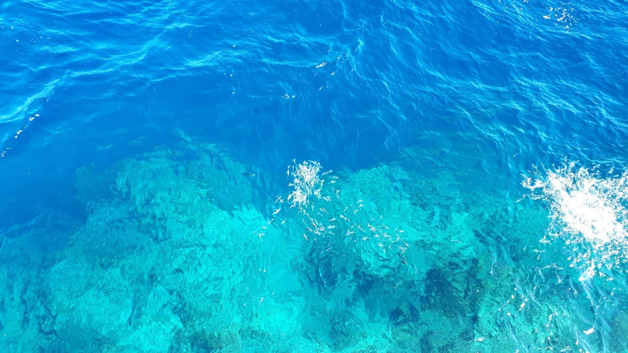 Strand Pickalbatros Sea World Resort - Marsa Alam