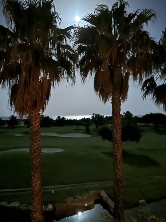 Ausblick ROBINSON QUINTA DA RIA