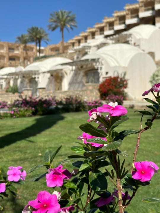 Gartenanlage Brayka Bay Resort