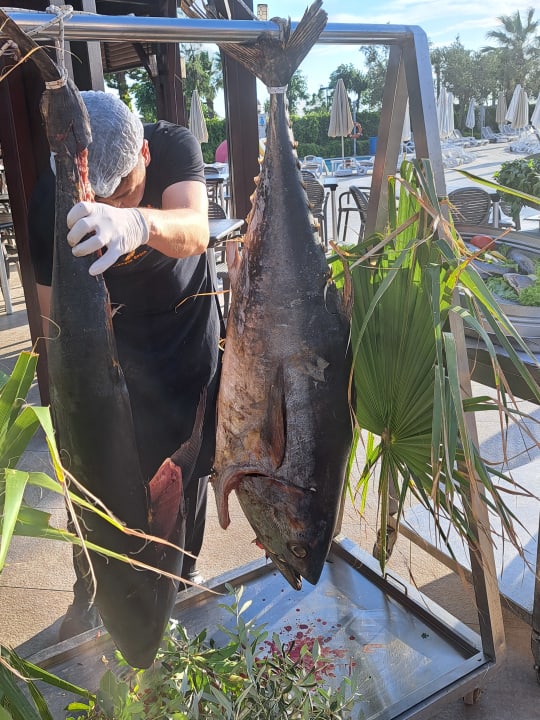 Gastro Seamelia Beach Resort