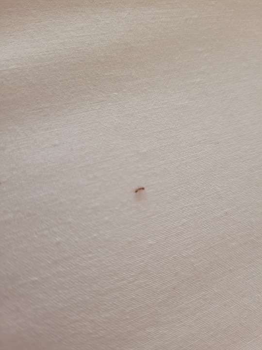 Zimmer Solivia Hotel