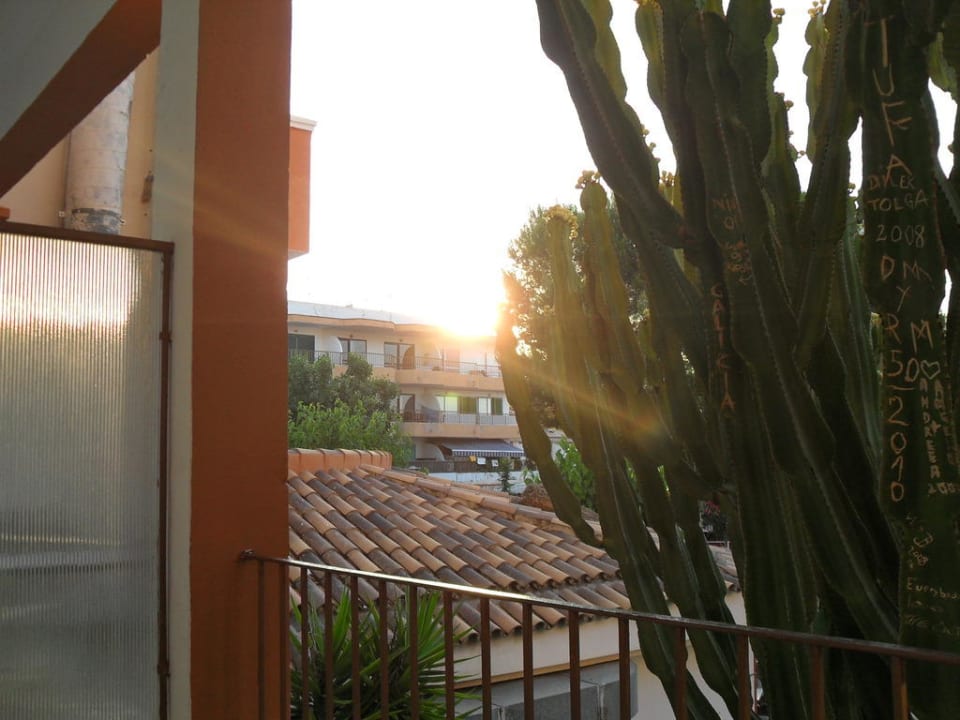 Nochmal Ausblick Hotel Playas de Paguera