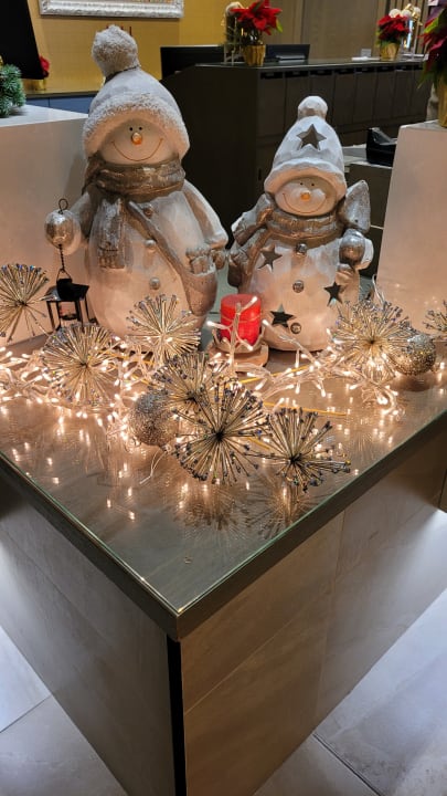 Lobby Hotel Riu Festival