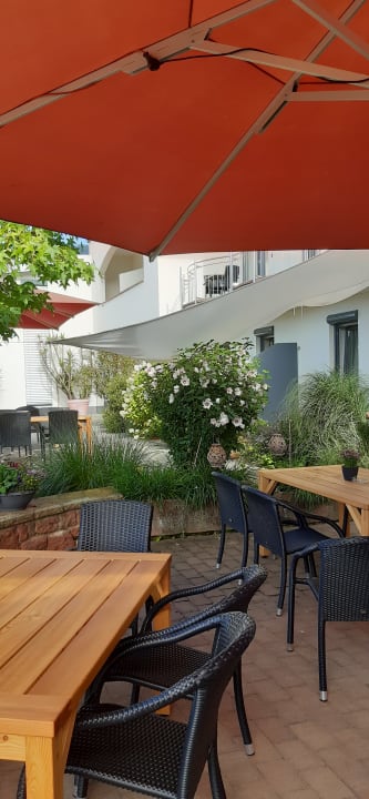 Gartenanlage Main-Vinotel Weingut Helmstetter