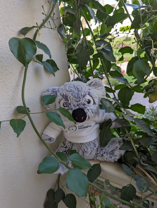 Gartenanlage Amarina Abu Soma Resort & Aquapark