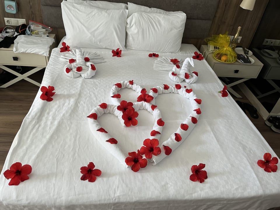 Zimmer Monachus Family Resort Sorgun