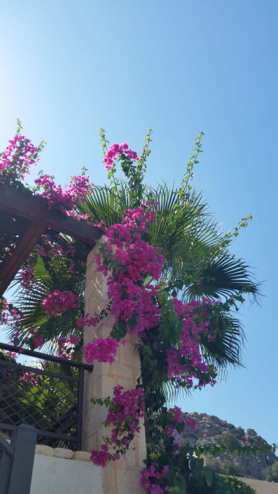 Schöne Anlage  Grand Hotel Holiday Resort