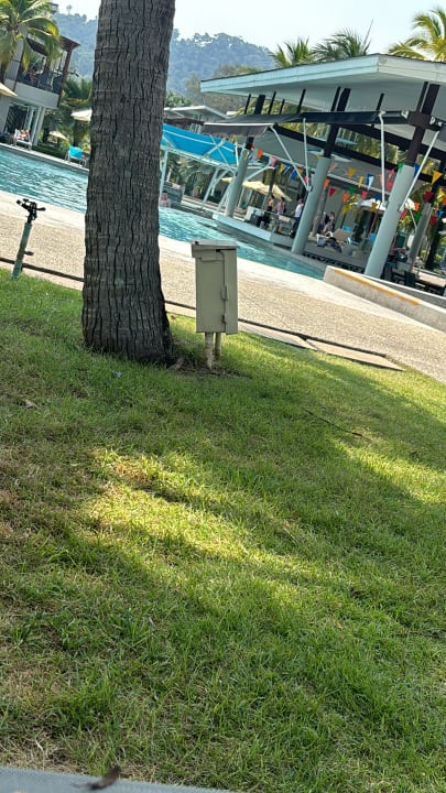 Gartenanlage The Waters Khao Lak by Katathani