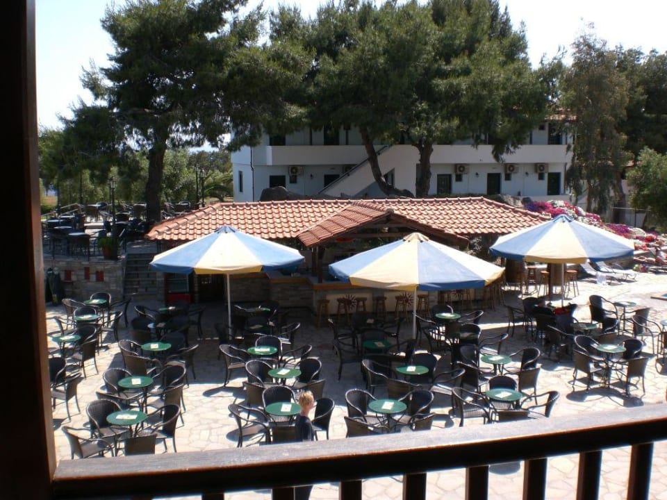 Poolbar Blue Dolphin Resort Hotel