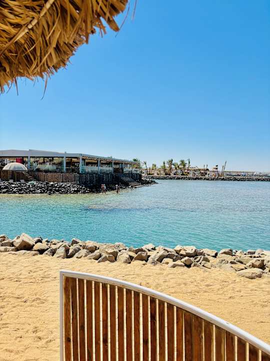 Sonstiges Desert Rose