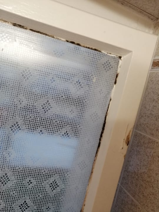 Zimmer Pension Messe am Funkturm