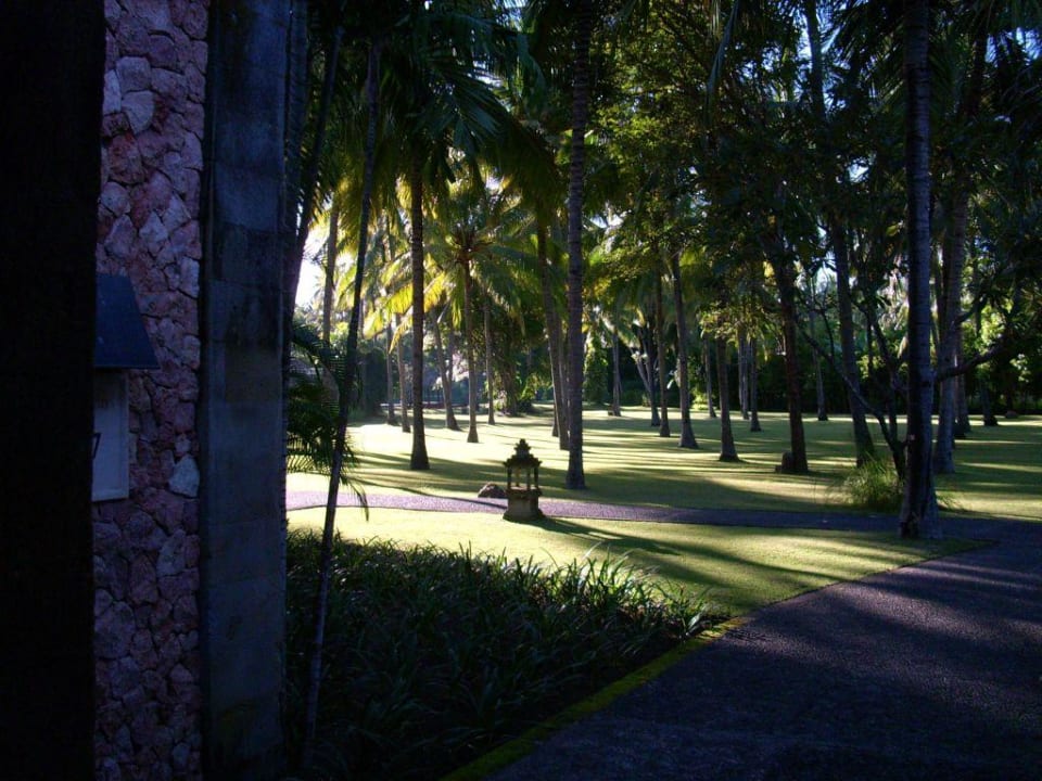 Sehr gepflegte Palmen Hotel The Oberoi Lombok