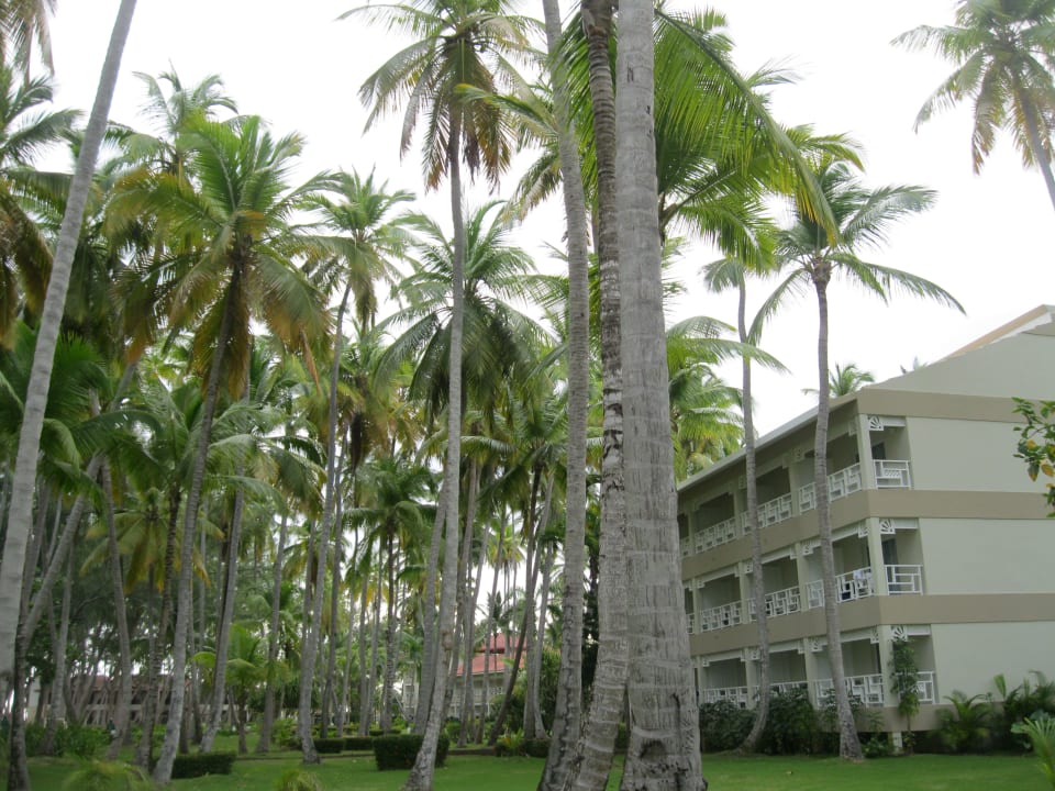 Gartenanlage Vista Sol Punta Cana