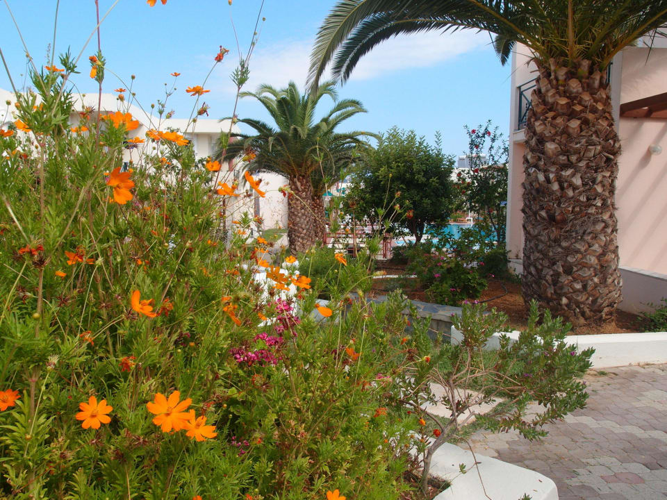 Ogród HARPIN Georgioupolis Resort Aquapark & SPA