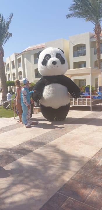 Sonstiges Pickalbatros Dana Beach Resort - Hurghada