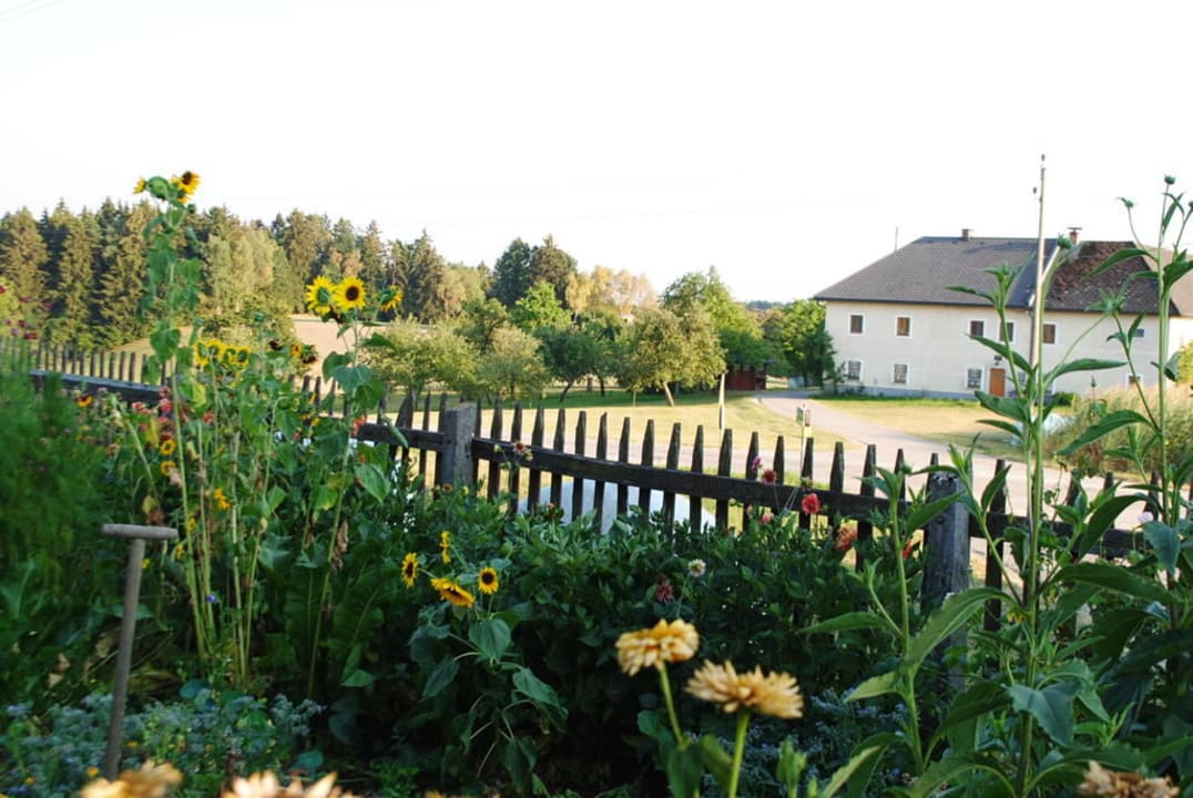Ein Blick aus Berta´s Gemüsegarten Bauernhof Grainmeisterhof