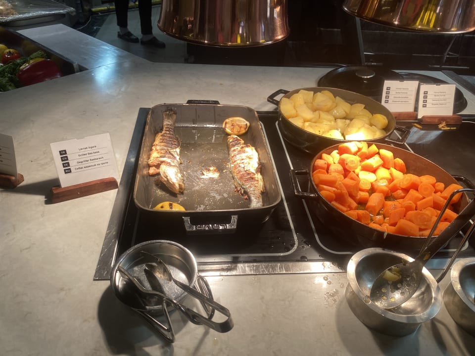 Gastro PALOMA Perissia