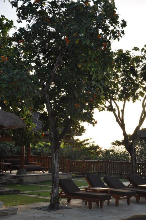 Liegen am Pool AYANA Resort Bali