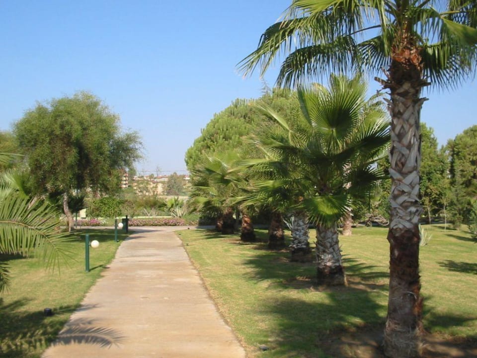 Gartenanlage Weg zum Strand VONRESORT Golden Coast