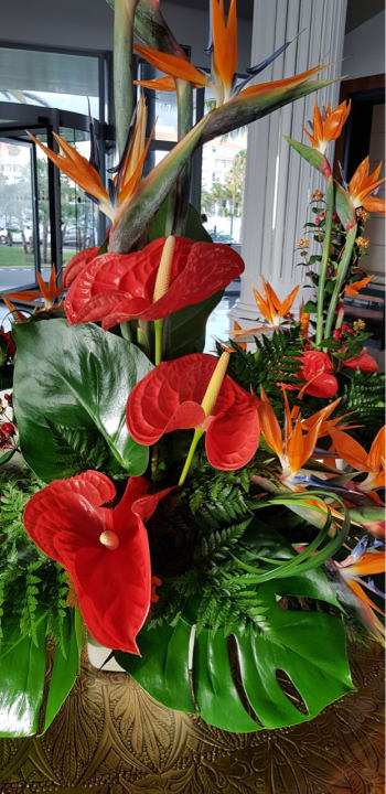 Sonstiges Hotel Riu Palace Tenerife