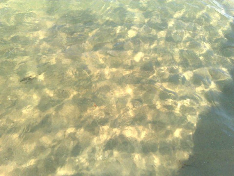 Das Meer vor dem Hotelstrand Hotel Marhaba Beach