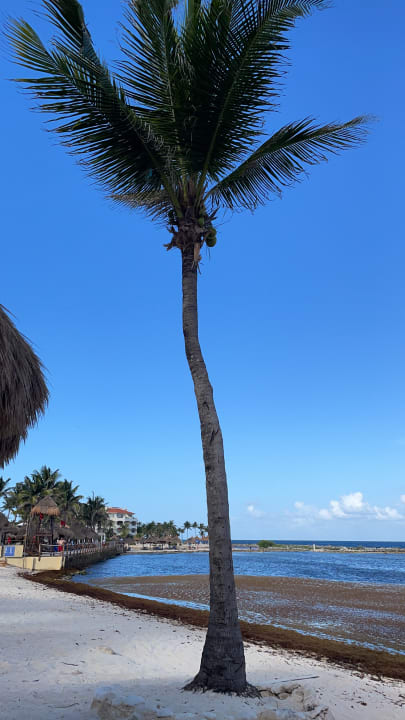Strand Catalonia Riviera Maya & Catalonia Yucatan Beach