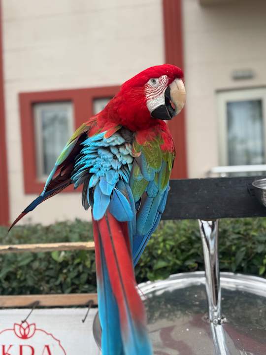 Pool FUN&SUN Smart Hane Sun Hotel