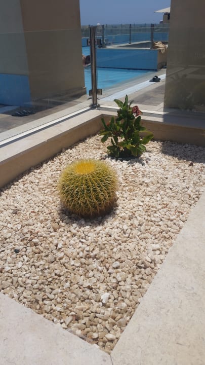 Gartenanlage Steigenberger Aqua Magic