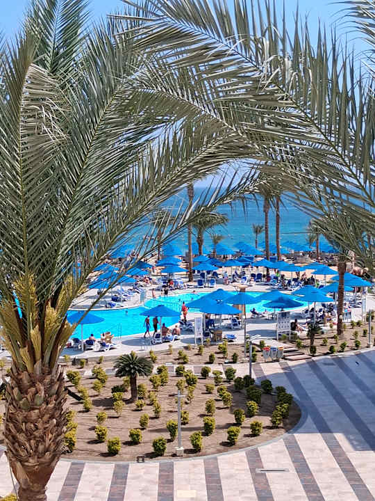 Außenansicht Beach Albatros Resort