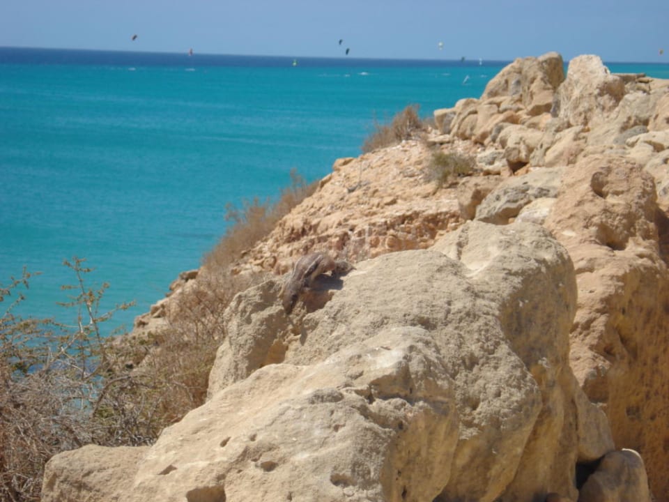Fußwerg zum Strand unterhalb des Hotels R2 Pajara Beach