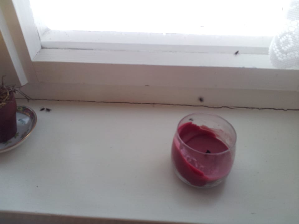 Die Fensterbrett-Deko: Ein Traum Bauernhof Hintergraberhof