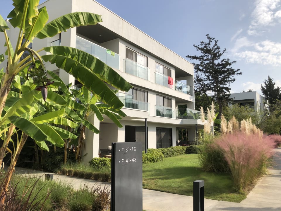 Außenansicht Paloma Finesse