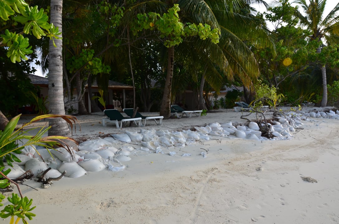 Und es gibt weniger schöne Strandabschnitte Vilamendhoo Island Resort & Spa