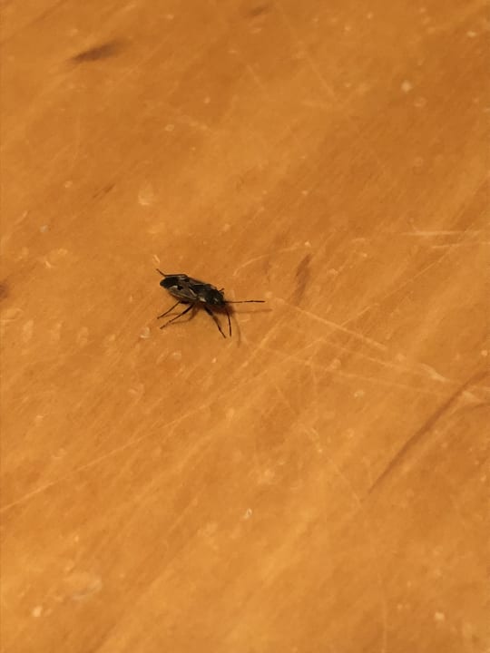 Zimmer Landhotel Keck