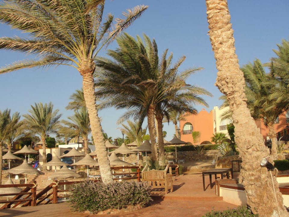 Widok na restaurację przy basenie. Hotel Nubian Village