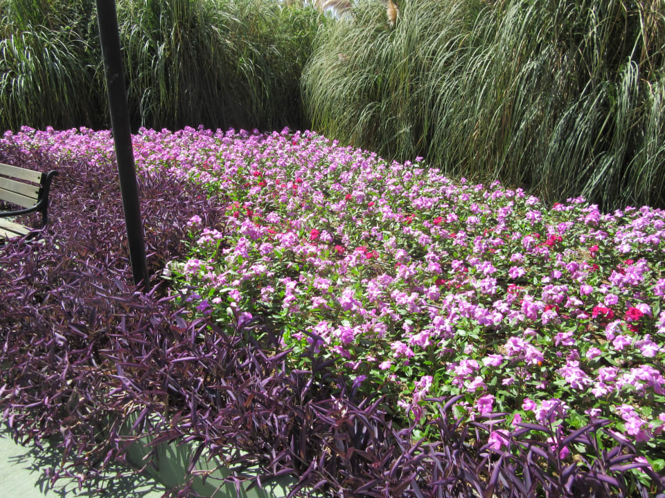 Weg vom Strand Trendy Aspendos Beach Hotel