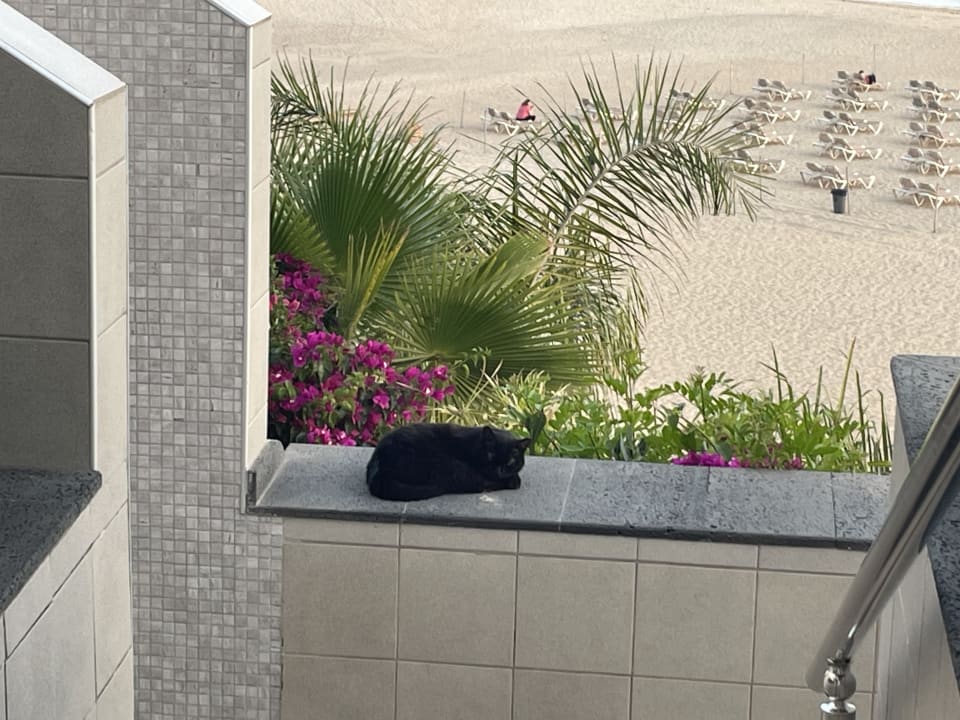 Sonstiges Hotel Riu Palace Jandia