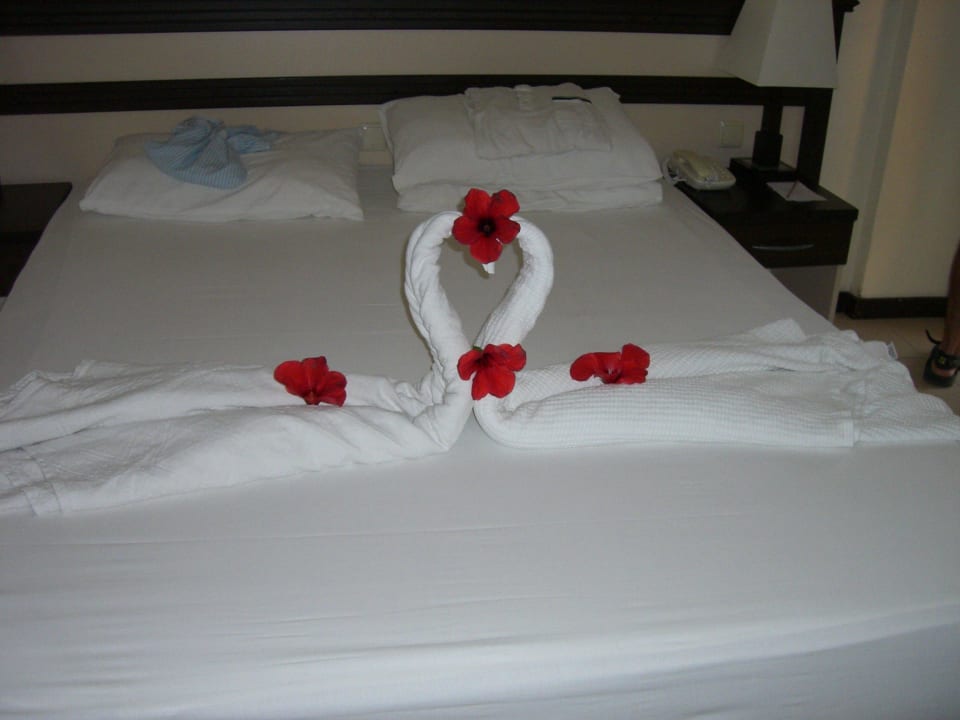 ...und die Überraschungen gingen weiter! Hotel Orfeus Park