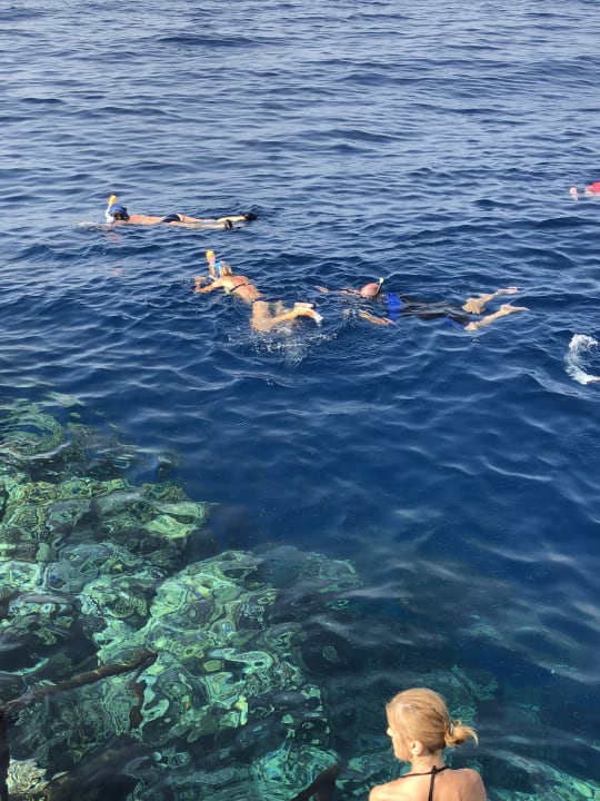 Strand Novotel Marsa Alam Beach Resort