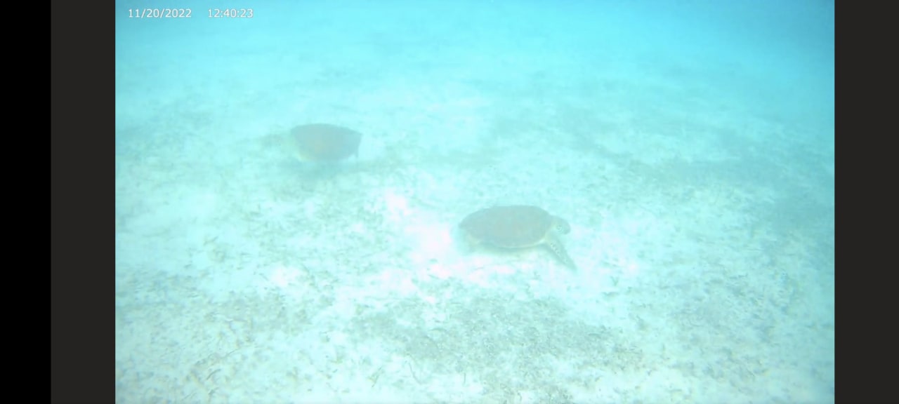 Strand Akumal Bay Beach & Wellness Resort