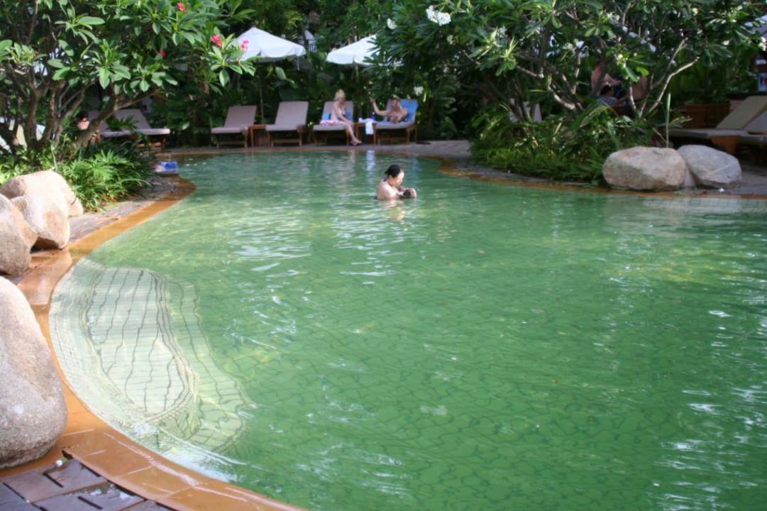kleiner Pool Woodlands Hotel & Resort