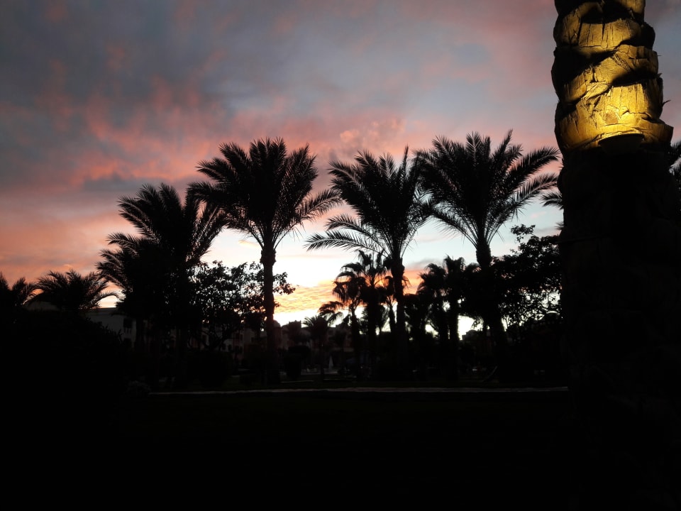 Ausblick Serenity Alpha Beach