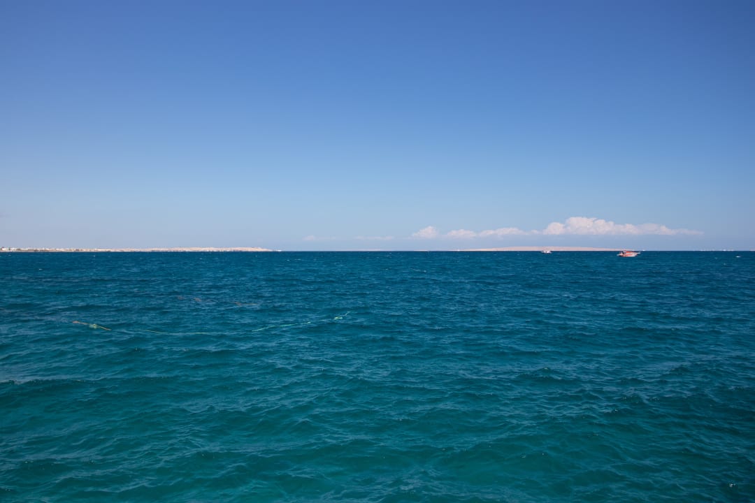 Ausblick Desert Rose