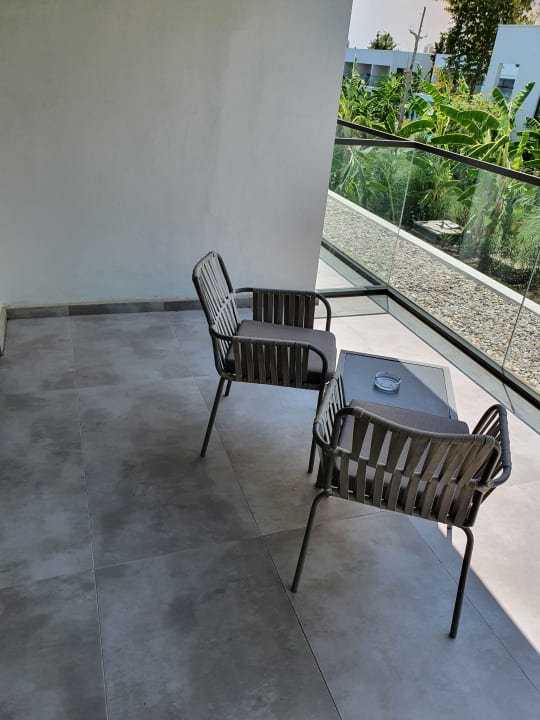 Zimmer Paloma Finesse