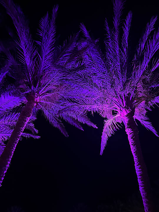 Gartenanlage Steigenberger Coraya Beach - Adults only