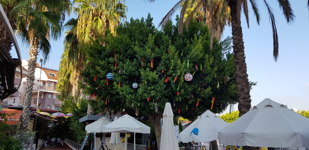 Garten Hane Family Resort