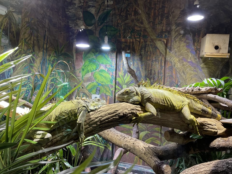 Sonstiges Ferienwohnungen Ferienpark Weissenhäuser Strand
